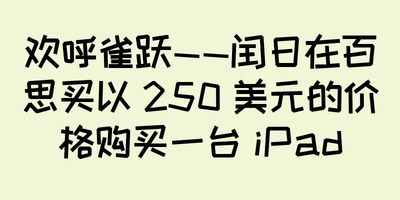 欢呼雀跃——闰日在百思买以 250 美元的价格购买一台 iPad