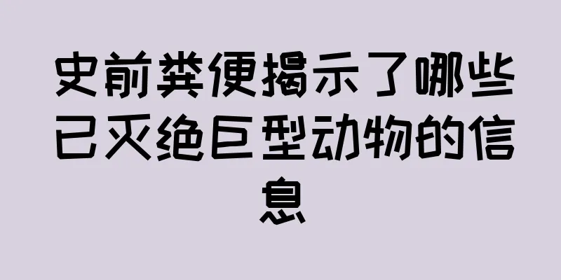 史前粪便揭示了哪些已灭绝巨型动物的信息
