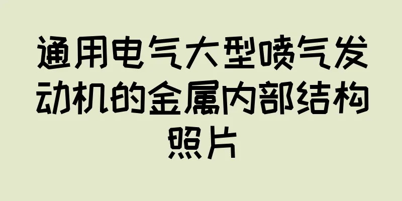 通用电气大型喷气发动机的金属内部结构照片