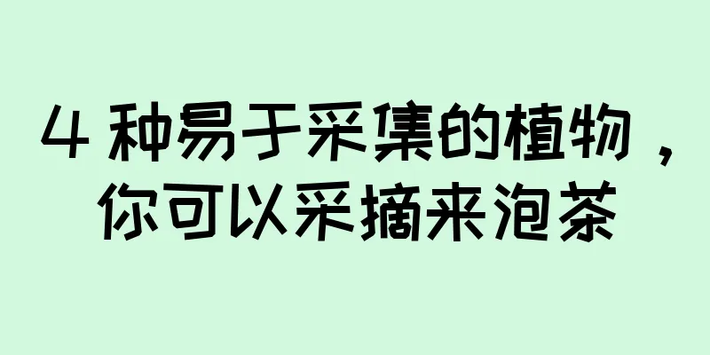 4 种易于采集的植物，你可以采摘来泡茶