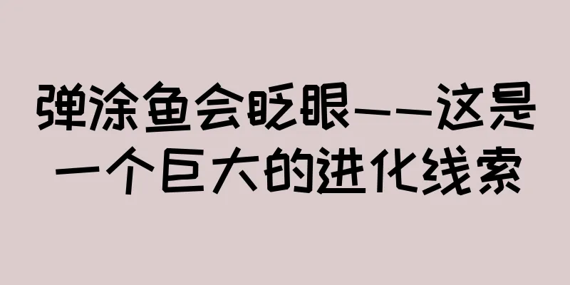 弹涂鱼会眨眼——这是一个巨大的进化线索