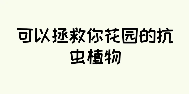 可以拯救你花园的抗虫植物