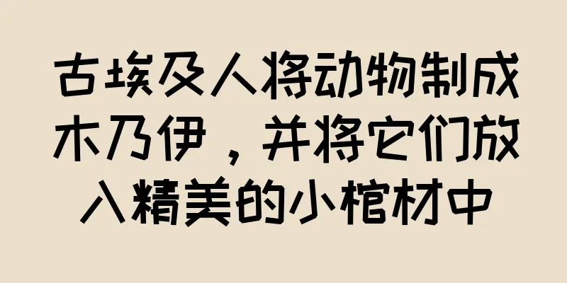 古埃及人将动物制成木乃伊，并将它们放入精美的小棺材中