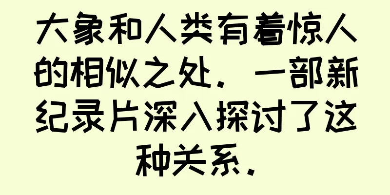 大象和人类有着惊人的相似之处。一部新纪录片深入探讨了这种关系。
