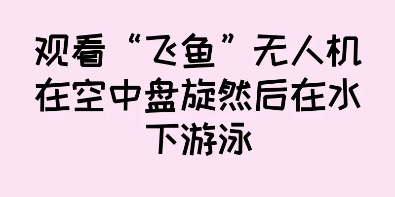 观看“飞鱼”无人机在空中盘旋然后在水下游泳
