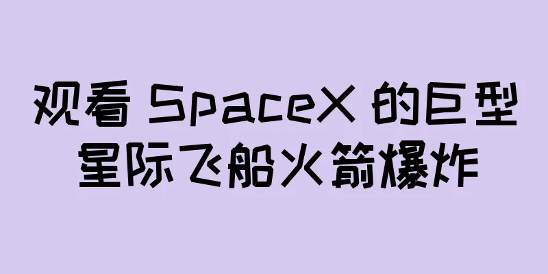 观看 SpaceX 的巨型星际飞船火箭爆炸