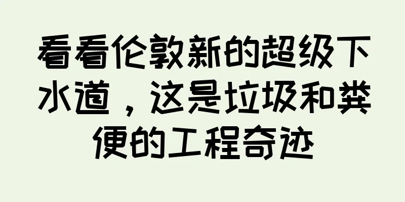 看看伦敦新的超级下水道，这是垃圾和粪便的工程奇迹