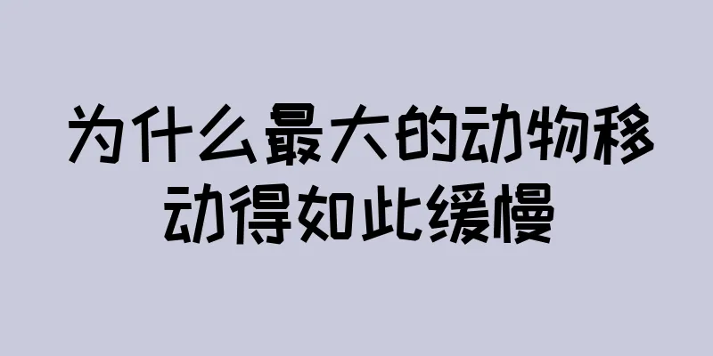为什么最大的动物移动得如此缓慢