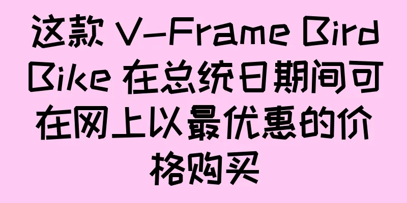 这款 V-Frame BirdBike 在总统日期间可在网上以最优惠的价格购买