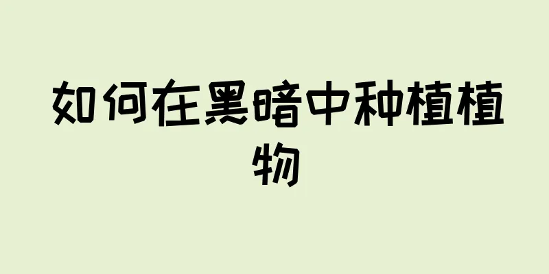 如何在黑暗中种植植物