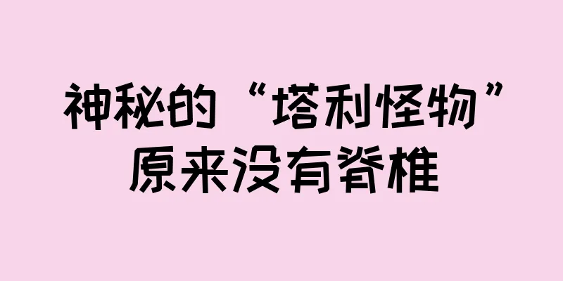 神秘的“塔利怪物”原来没有脊椎