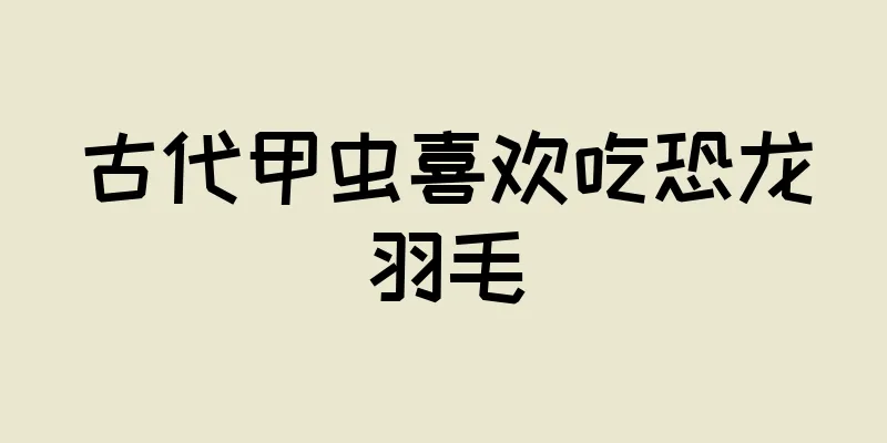 古代甲虫喜欢吃恐龙羽毛