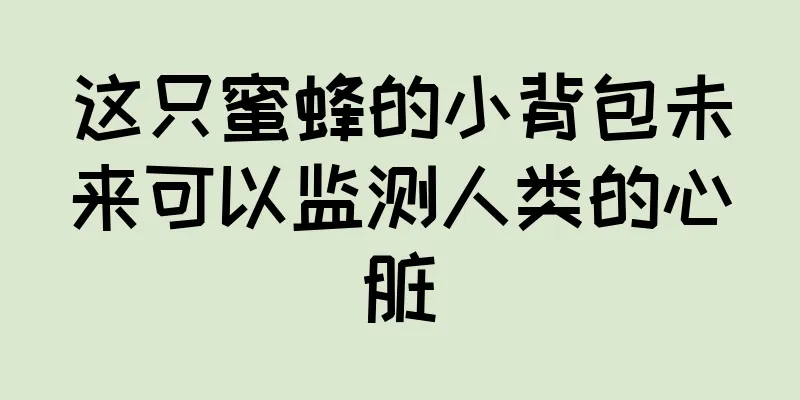 这只蜜蜂的小背包未来可以监测人类的心脏