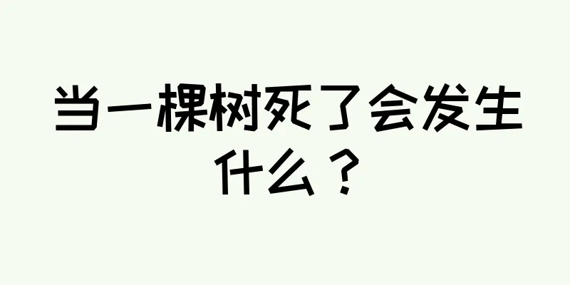当一棵树死了会发生什么？