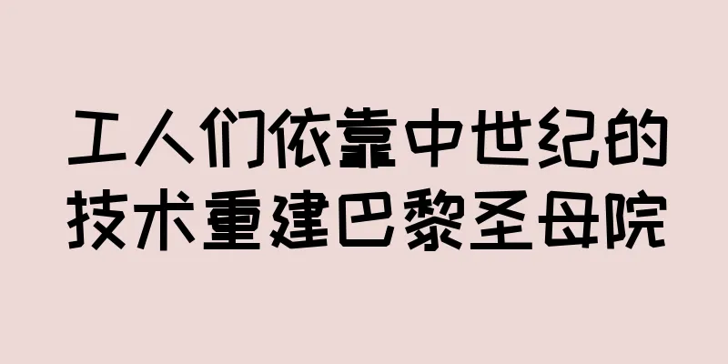 工人们依靠中世纪的技术重建巴黎圣母院