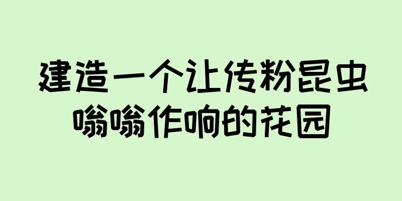建造一个让传粉昆虫嗡嗡作响的花园