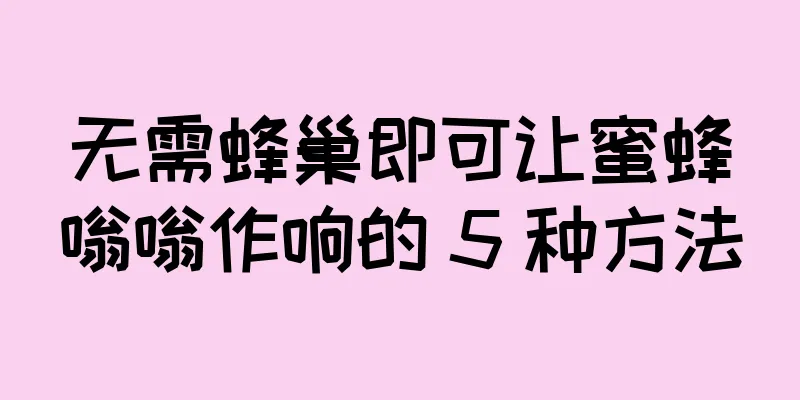 无需蜂巢即可让蜜蜂嗡嗡作响的 5 种方法
