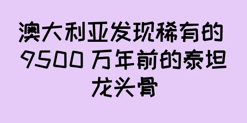 澳大利亚发现稀有的 9500 万年前的泰坦龙头骨