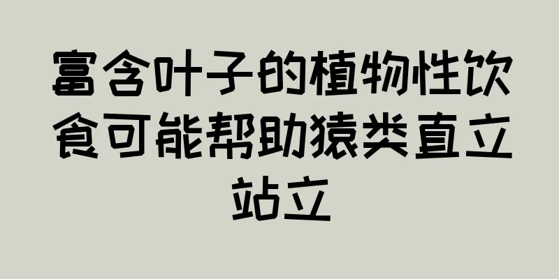 富含叶子的植物性饮食可能帮助猿类直立站立