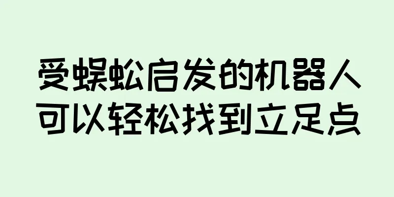 受蜈蚣启发的机器人可以轻松找到立足点