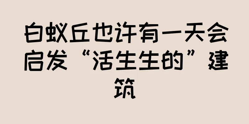 白蚁丘也许有一天会启发“活生生的”建筑