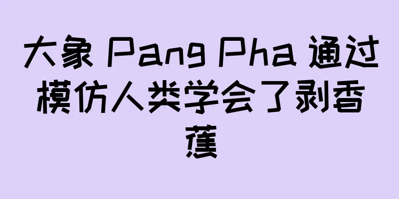大象 Pang Pha 通过模仿人类学会了剥香蕉