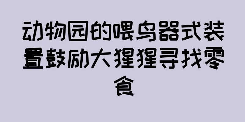动物园的喂鸟器式装置鼓励大猩猩寻找零食