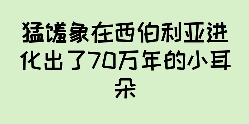 猛犸象在西伯利亚进化出了70万年的小耳朵