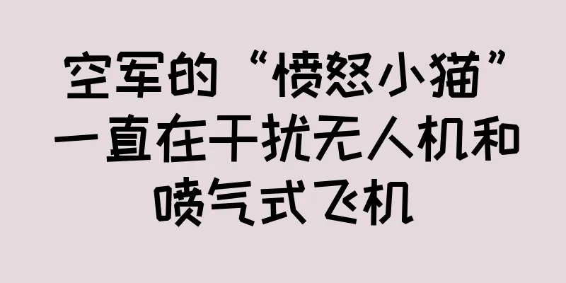空军的“愤怒小猫”一直在干扰无人机和喷气式飞机