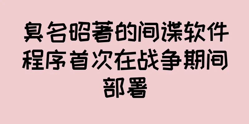 臭名昭著的间谍软件程序首次在战争期间部署