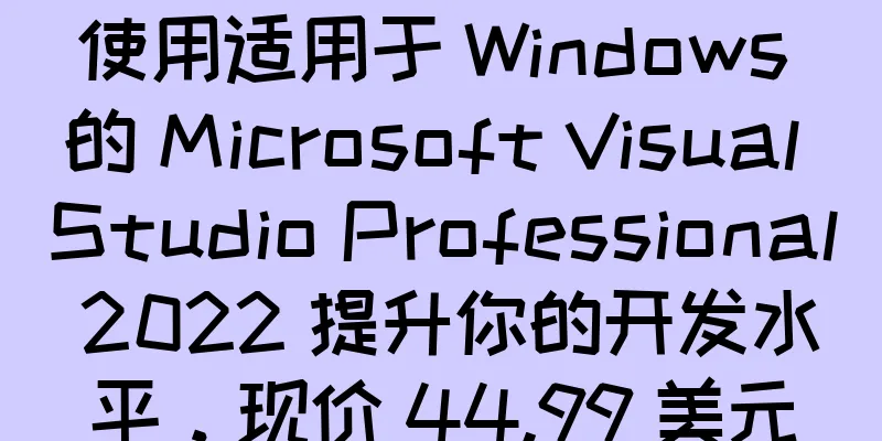 使用适用于 Windows 的 Microsoft Visual Studio Professional 2022 提升你的开发水平，现价 44.99 美元