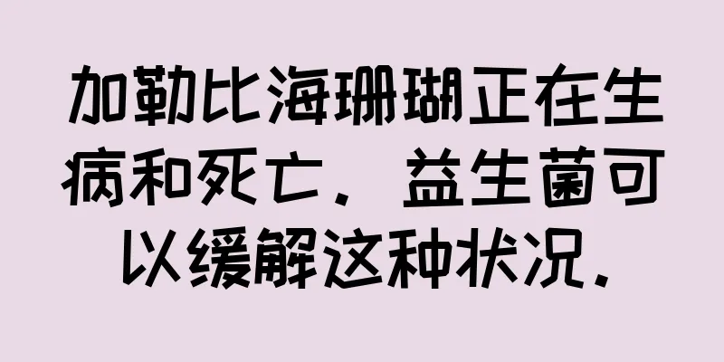 加勒比海珊瑚正在生病和死亡。益生菌可以缓解这种状况。