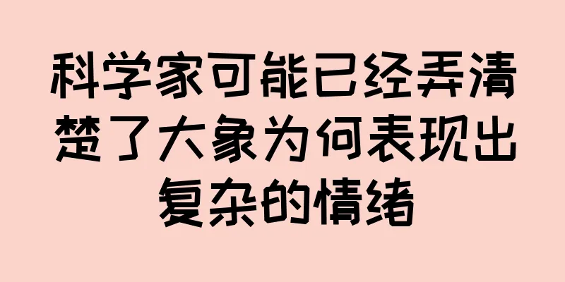 科学家可能已经弄清楚了大象为何表现出复杂的情绪