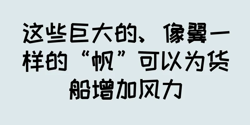 这些巨大的、像翼一样的“帆”可以为货船增加风力