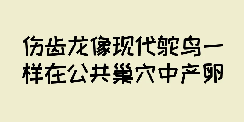 伤齿龙像现代鸵鸟一样在公共巢穴中产卵