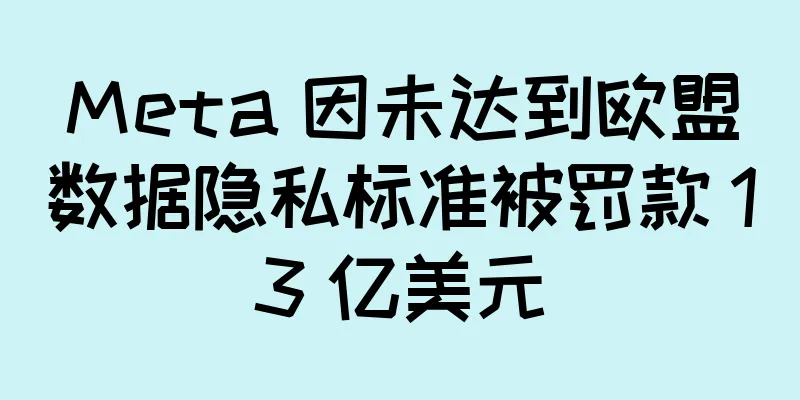 Meta 因未达到欧盟数据隐私标准被罚款 13 亿美元