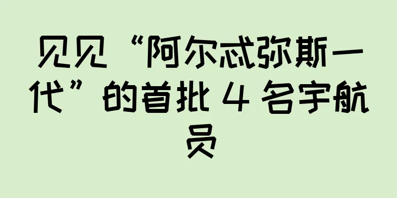 见见“阿尔忒弥斯一代”的首批 4 名宇航员