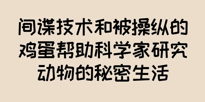 间谍技术和被操纵的鸡蛋帮助科学家研究动物的秘密生活