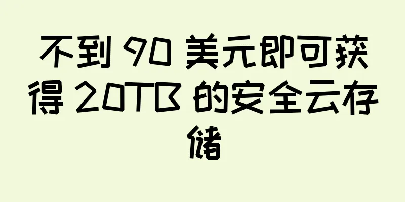 不到 90 美元即可获得 20TB 的安全云存储