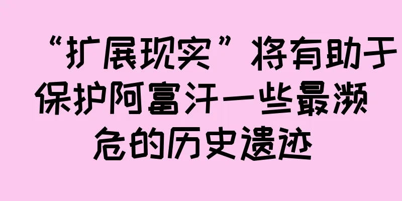 “扩展现实”将有助于保护阿富汗一些最濒危的历史遗迹