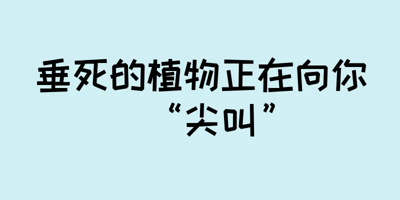垂死的植物正在向你“尖叫”