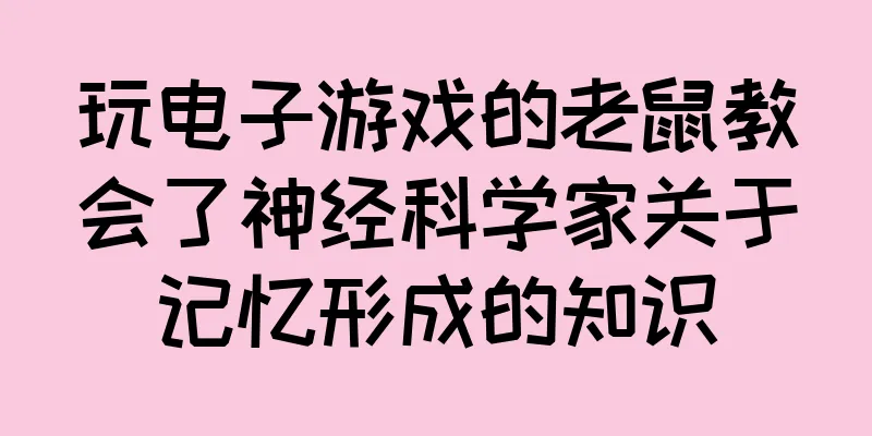 玩电子游戏的老鼠教会了神经科学家关于记忆形成的知识