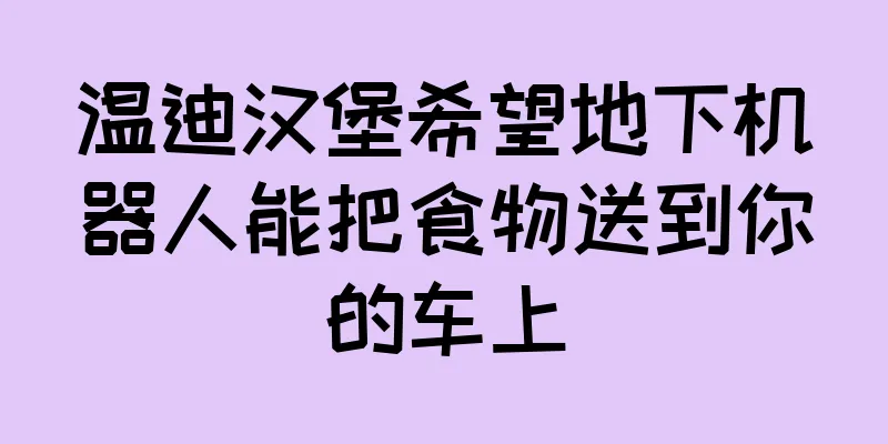 温迪汉堡希望地下机器人能把食物送到你的车上