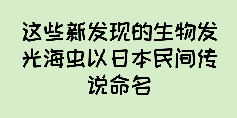 这些新发现的生物发光海虫以日本民间传说命名