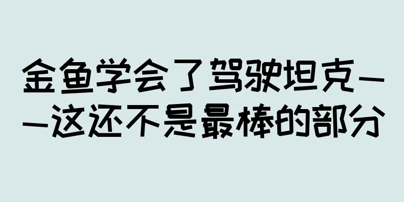 金鱼学会了驾驶坦克——这还不是最棒的部分