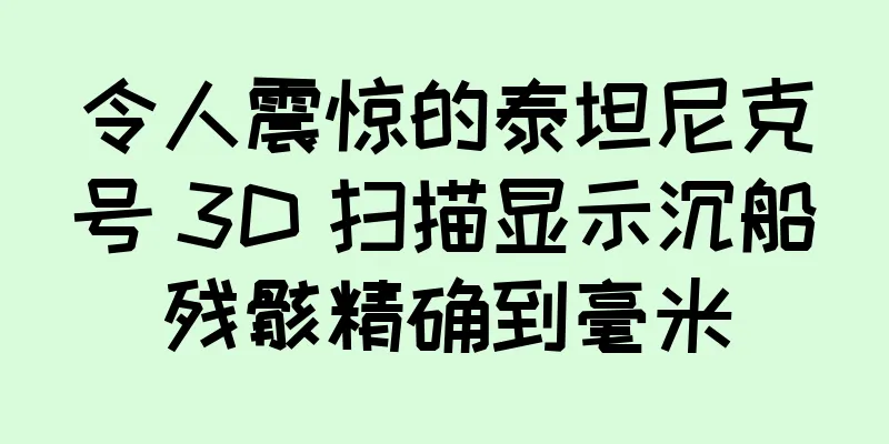 令人震惊的泰坦尼克号 3D 扫描显示沉船残骸精确到毫米