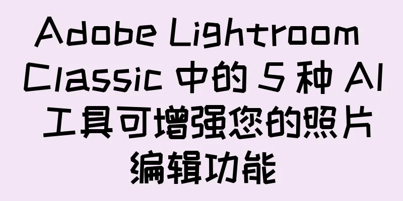 Adobe Lightroom Classic 中的 5 种 AI 工具可增强您的照片编辑功能
