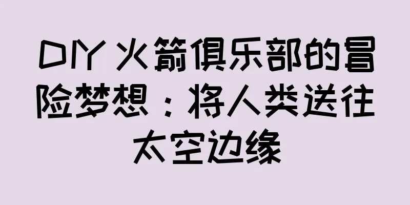 DIY 火箭俱乐部的冒险梦想：将人类送往太空边缘
