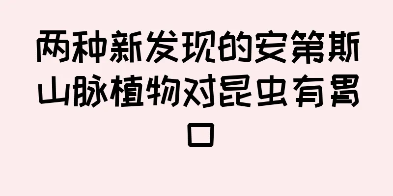 两种新发现的安第斯山脉植物对昆虫有胃口