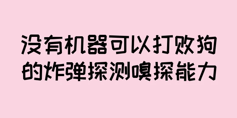没有机器可以打败狗的炸弹探测嗅探能力